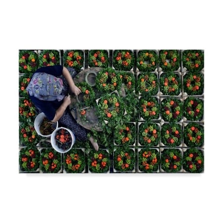 Caner Baser 'Wreath Making' Canvas Art,30x47